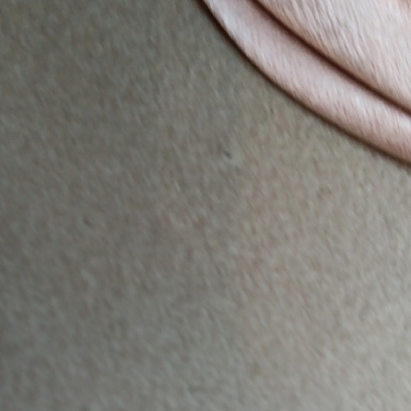 Eugenia Kim Gray Hat with Cream Band - Picture 7 of 7